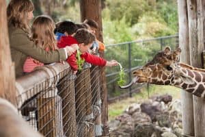 zoo for kids