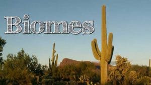 Biomes of the World for Kids